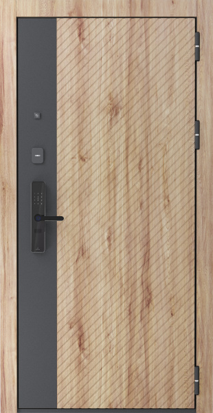 CYBER S 300 CYBER S 300